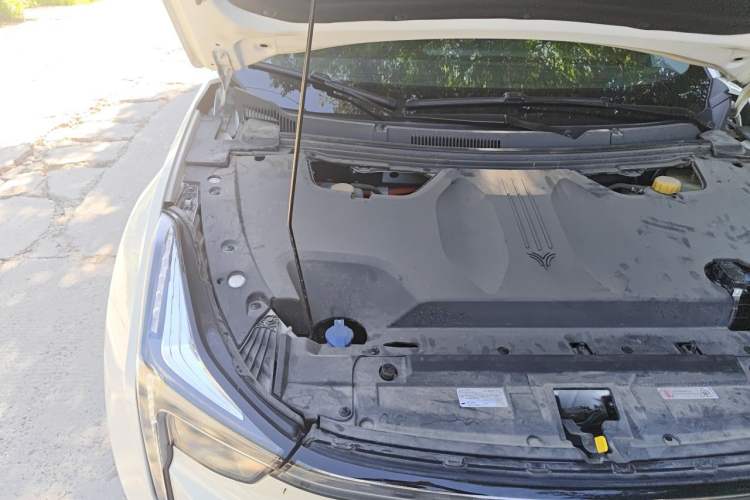 Used NETA U 2021 Pro 500 Global Edition Engine Bay Right
