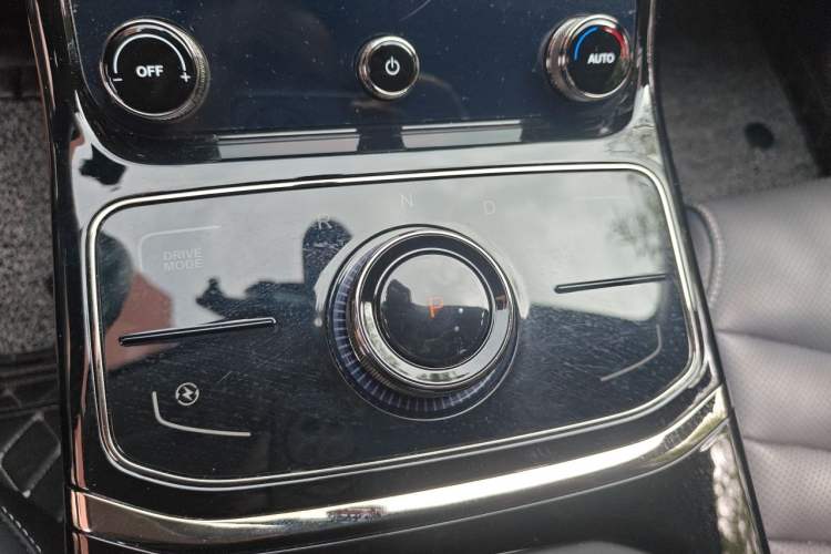 Used NETA U 2021 Pro 400 Cruiser Edition Gear Lever
