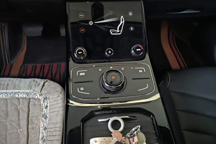 Used NETA U 2021 Revised Pro 400 Premium Driving Edition Gear Lever