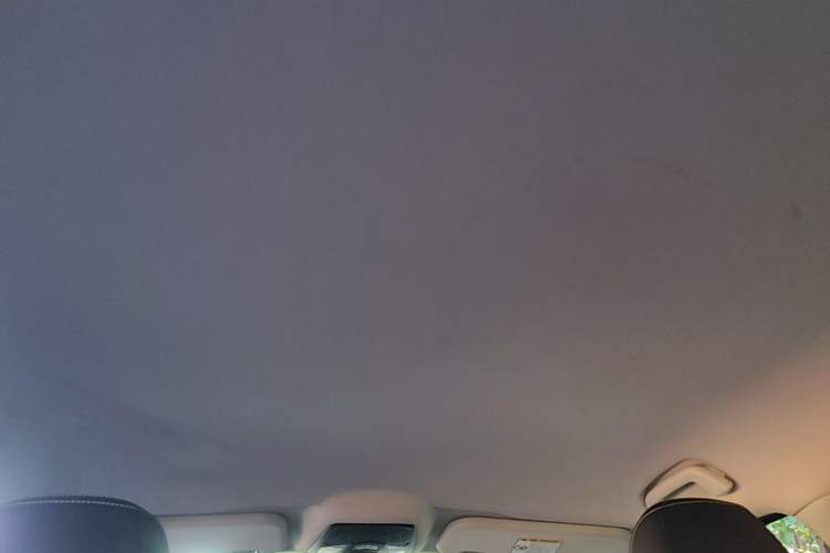Used NETA U 2021 Revised Pro 400 Industry Custom Edition Headliner