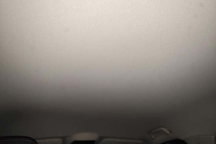 Used NETA U 2021 Pro 400 Cruiser Edition Headliner