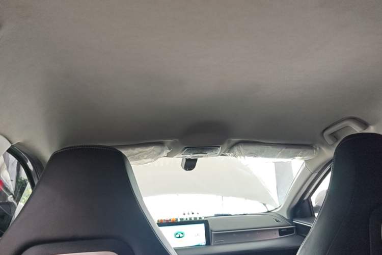 Used NETA U 2021 Pro 400 Premium Driving Edition Headliner