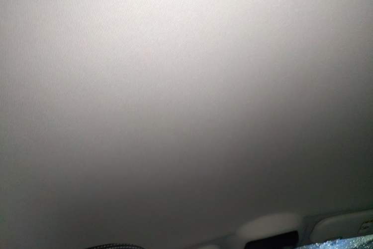 Used NETA U 2021 Revised Pro 400 Premium Driving Edition Headliner