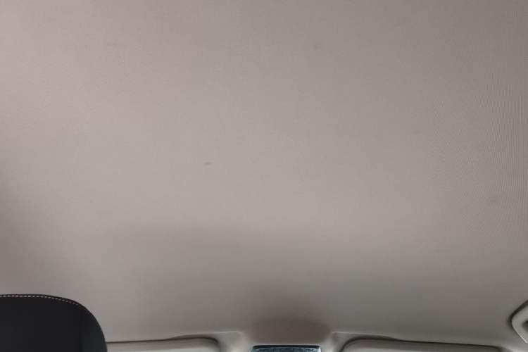 Used NETA U 2021 Pro 500 Deluxe Driving Edition Headliner