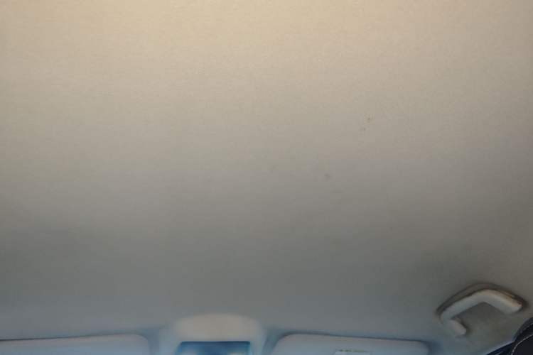 Used NETA U 2021 Revised Pro 400 Premium Driving Edition Headliner