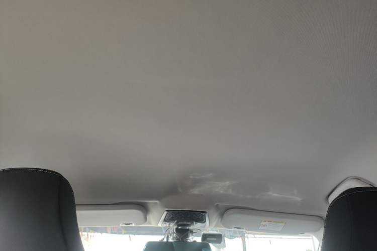 Used NETA U 2021 Pro 400 Cruiser Edition Headliner