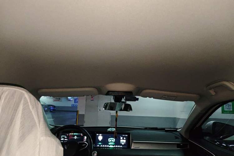 Used NETA U 2021 Pro 400 Cruiser Edition Headliner