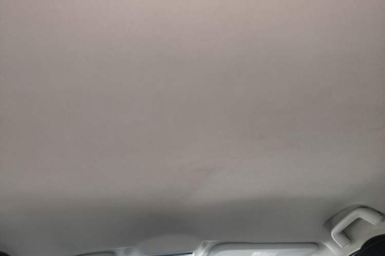 Used NETA U 2021 Pro 400 Cruiser Edition Headliner