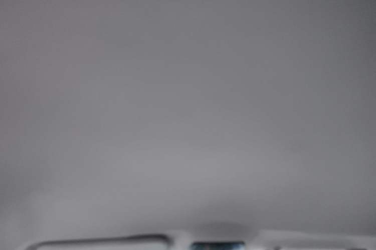 Used NETA U 2021 Pro 400 Cruiser Edition Headliner