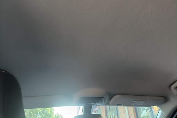 Used NETA U 2021 Revised Pro 400 Premium Driving Edition Headliner