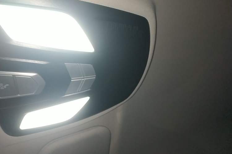 Used NETA U 2021 Pro 500 Industry Custom Edition Headliner