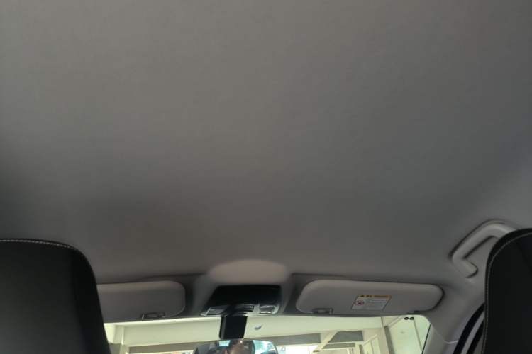 Used NETA U 2021 Revised Pro 400 Premium Driving Edition Headliner