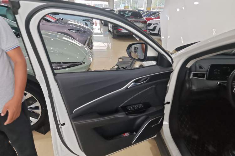 Used NETA U 2021 Pro 500 Global Edition Left Front Door Interior