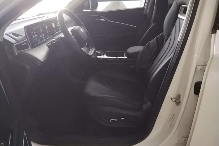 Used NETA U 2021 Pro 500 Lunar Edition Left Front Seat