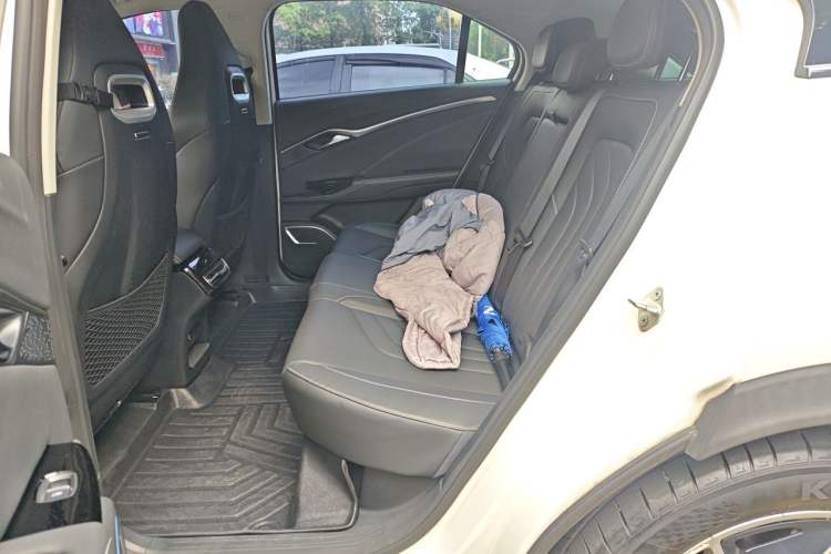Used NETA U 2021 Pro 500 Lunar Edition Left Rear Seat