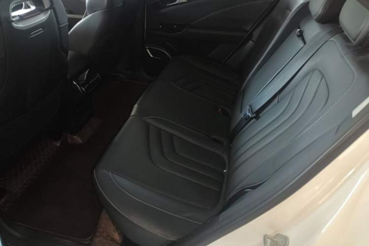 Used NETA U 2021 Pro 610 Fire-Seeking Edition Left Rear Seat