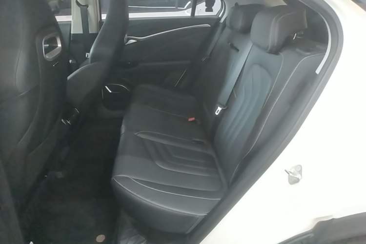 Used NETA U 2021 Pro 500 Industry Custom Edition Left Rear Seat