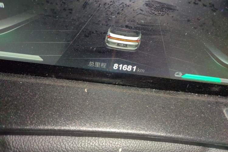 Used NETA U 2021 Revised Pro 400 Premium Driving Edition Odometer Close Up