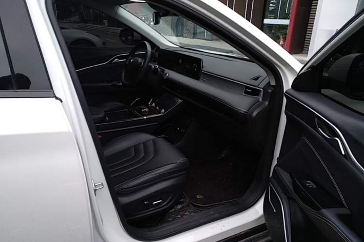 Used NETA U 2021 Pro 500 Lunar Edition Right Front Seat