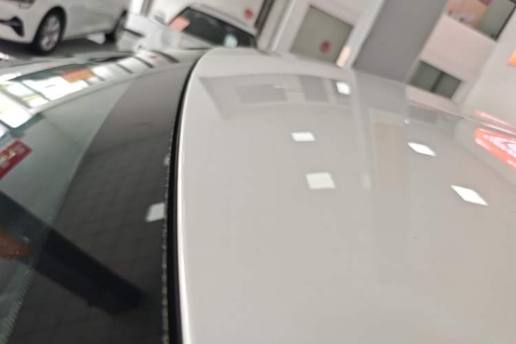 Used NETA U 2021 Pro 400 Premium Driving Edition Roof