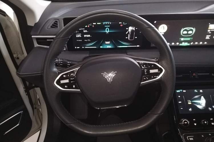 Used NETA U 2021 Pro 500 Lunar Edition Steering Wheel