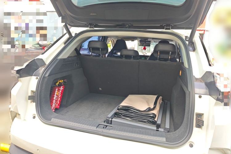 Used NETA U 2021 Pro 500 Lunar Edition Trunk