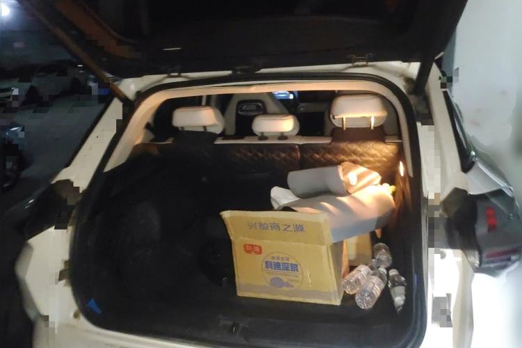 Used NETA U 2021 Pro 500 Global Edition Trunk