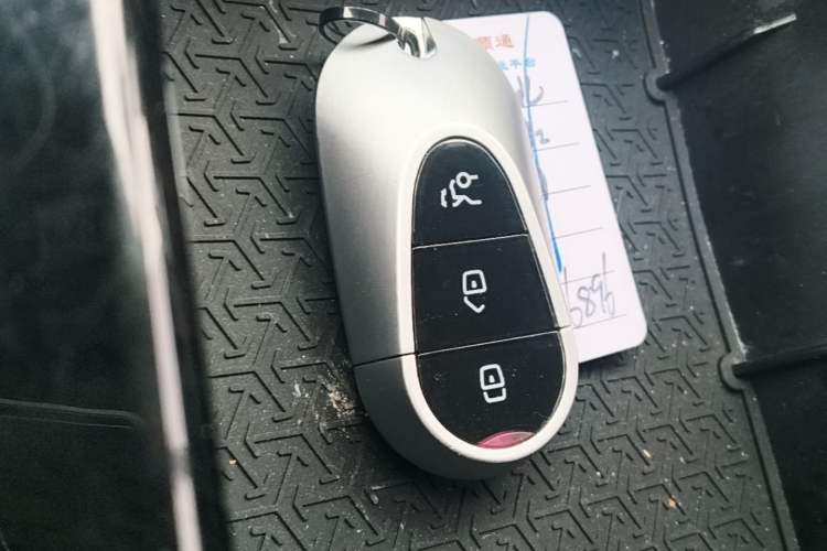 Used NETA U 2021 Pro 500 Global Edition Vehicle Key