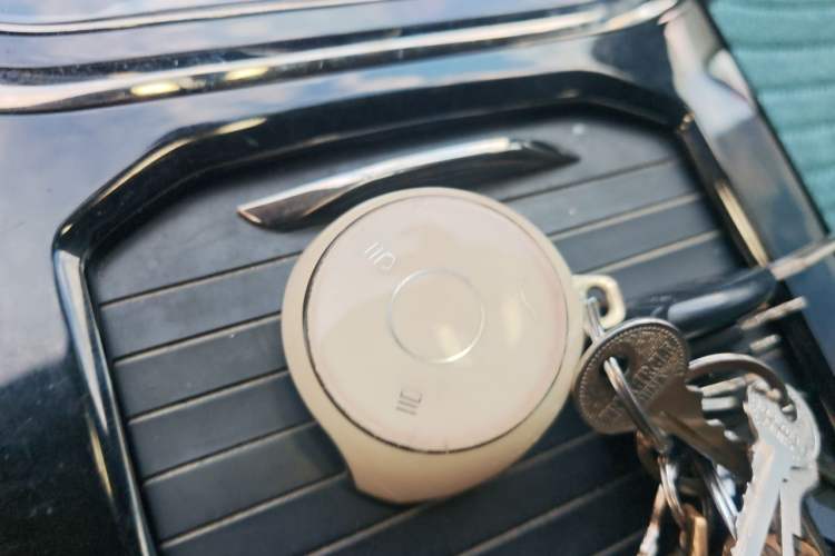 Used NETA U 2021 Revised Pro 400 Industry Custom Edition Vehicle Key