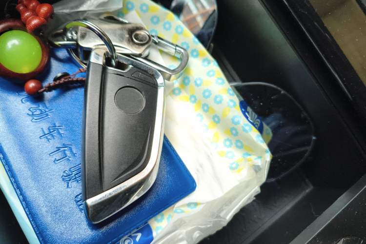 Used NETA U 2021 Pro 500 Deluxe Driving Edition Vehicle Key