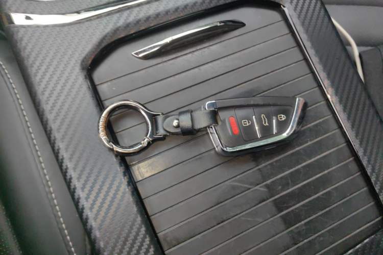 Used NETA U 2021 Revised Pro 400 Industry Custom Edition Vehicle Key