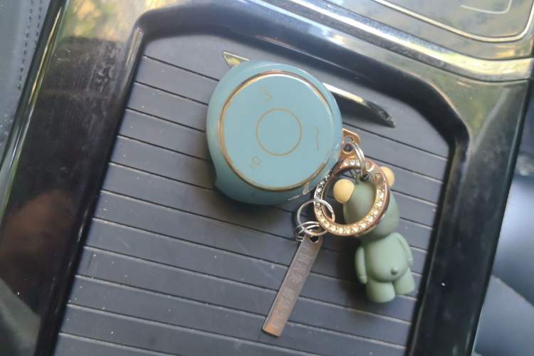 Used NETA U 2021 Pro 500 Industry Custom Edition Vehicle Key