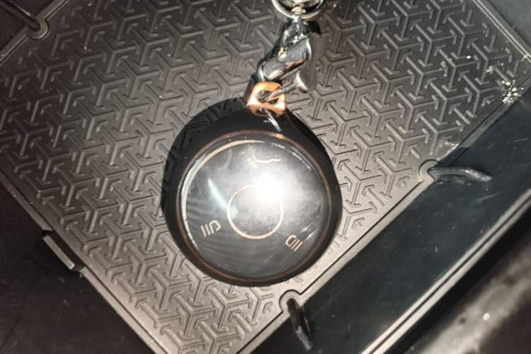 Used NETA U 2021 Pro 400 Cruiser Edition Vehicle Key