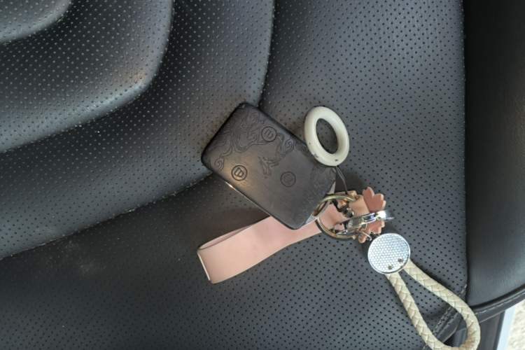 Used NETA U 2021 Revised Pro 400 Premium Driving Edition Vehicle Key