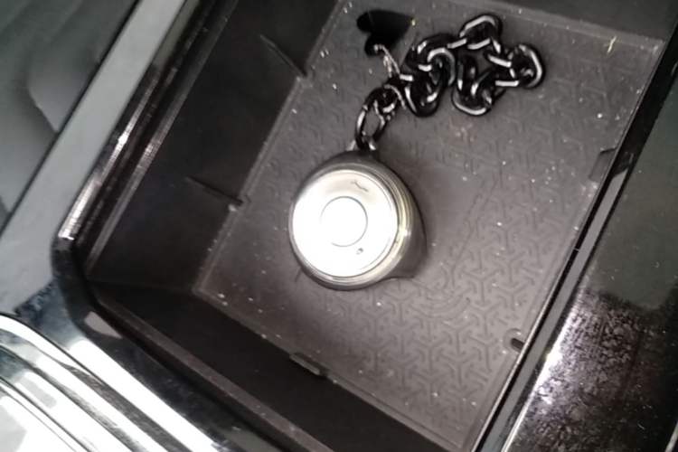 Used NETA U 2021 Pro 500 Lunar Edition Vehicle Key