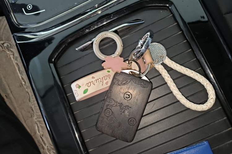 Used NETA U 2021 Revised Pro 400 Premium Driving Edition Vehicle Key