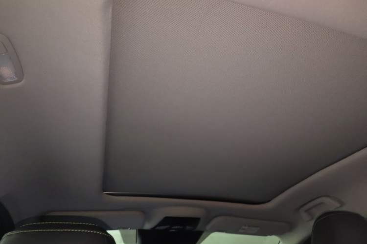 Used NETA U 2022 NETA U-Ⅱ 500 Lithium Iron Phosphate Headliner