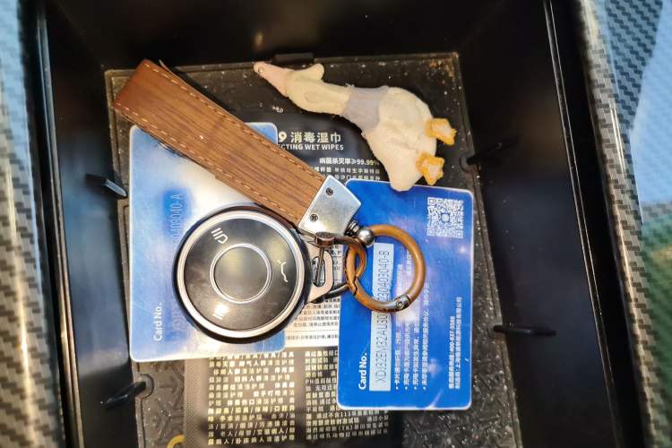 Used NETA U 2022 NETA U-Ⅱ 400 Lite Lithium Iron Phosphate Vehicle Key