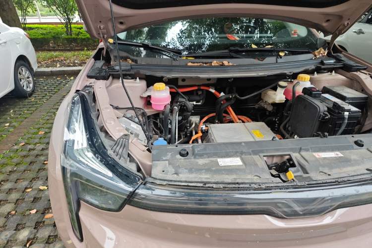 Used NETA U 2022 Zhi400 Pro Lithium Iron Phosphate Engine Bay Right