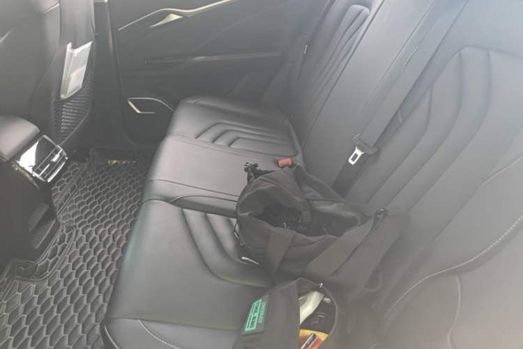 Used NETA U 2022 Zhi400 Pro Ternary Lithium Left Rear Seat