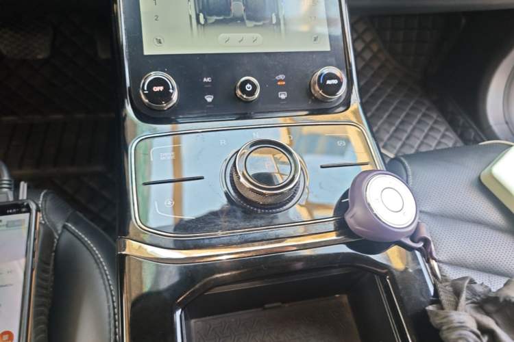 Used NETA U 2022 NETA U-Ⅱ 500 Lithium-Ion Gear Lever