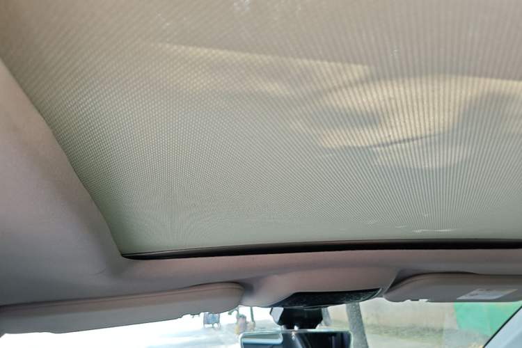 Used NETA U 2022 NETA U-Ⅱ 400 Lite Lithium Iron Phosphate Headliner