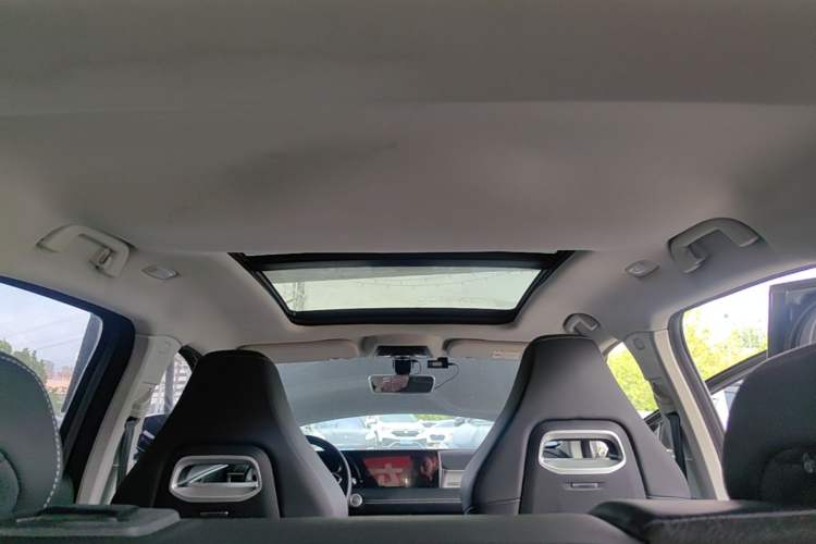 Used NETA U 2022 Zhi 400 Lithium-Nickel-Manganese-Cobalt Energy System Headliner