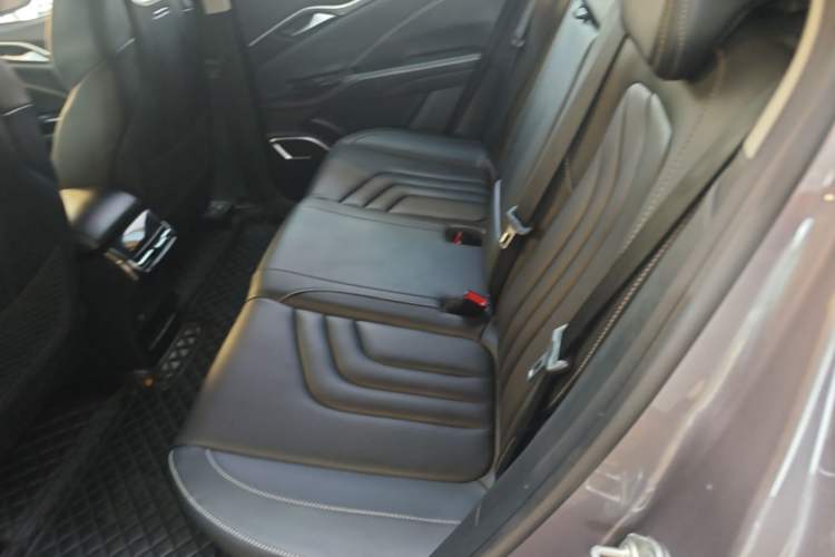 Used NETA U 2022 NETA U-Ⅱ 500 Lithium-Ion Left Rear Seat