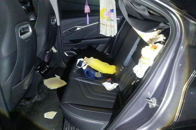 Used NETA U 2022 Zhi400 Pro Ternary Lithium Left Rear Seat