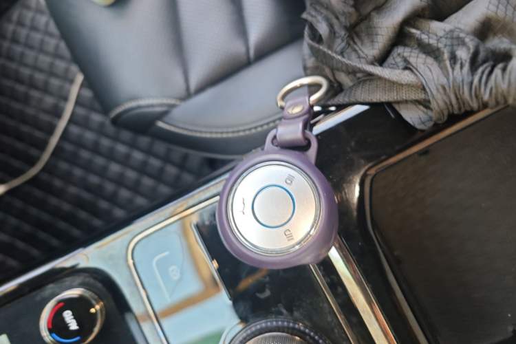 Used NETA U 2022 NETA U-Ⅱ 500 Lithium-Ion Vehicle Key
