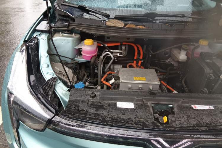 Used NETA U  Engine Bay Right
