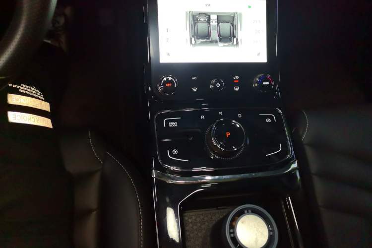 Used NETA U 2022 NETA U-Ⅱ 500 Lithium-Ion Gear Lever