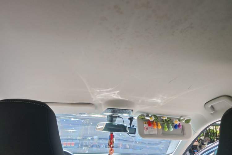 Used NETA U 2022 Zhi 400 Lithium-Nickel-Manganese-Cobalt Energy System Headliner