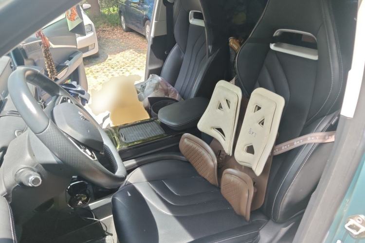 Used NETA U 2022 Zhi 400 Lithium-Nickel-Manganese-Cobalt Energy System Left Front Seat